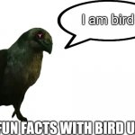 Fun Facts with Bird Uzi | I am bird | image tagged in fun facts with bird uzi | made w/ Imgflip meme maker