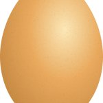 egg