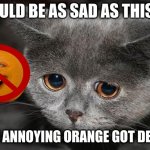 Sad cat | I WOULD BE AS SAD AS THIS CAT; IF THE ANNOYING ORANGE GOT DELETED | image tagged in sad cat | made w/ Imgflip meme maker