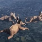 Skydiving Elephants GIF Template