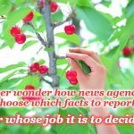 cherry pickt | Ever wonder how news agencies choose which facts to report? or whose job it is to decide? | image tagged in cherry picking,who picked this | made w/ Imgflip meme maker
