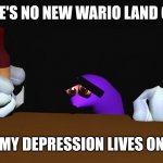 Ever since 2008? DAMN! | THERE'S NO NEW WARIO LAND GAME; MY DEPRESSION LIVES ON | image tagged in snick sad | made w/ Imgflip meme maker