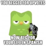 You begged for upvotes