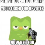 New temp for upvote beggars | HE HAS COME TO STOP THE UPVOTE BEGGING | image tagged in you begged for upvotes,duolingo,oh wow are you actually reading these tags | made w/ Imgflip meme maker