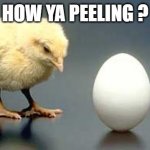 Chicken and Egg | HOW YA PEELING ? | image tagged in chicken and egg | made w/ Imgflip meme maker