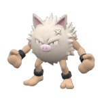 primeape