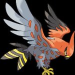 talonflame cool