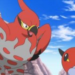 talonflame talking to it's son