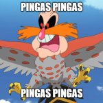 pingasflame pokemon parody | PINGAS PINGAS; PINGAS PINGAS | image tagged in talonflame getting ready to battle,pingas,peaches,pokemon,parody | made w/ Imgflip meme maker