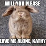 Kathy Hochul Bunny Rabbity | WILL YOU PLEASE; LEAVE ME ALONE, KATHY? | image tagged in rabbit | made w/ Imgflip meme maker
