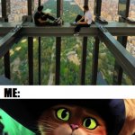 Meet some daredevils | image tagged in climbers,pussinboots,latticeclimbing,meme | made w/ Imgflip meme maker