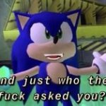 sonic who tf asked you