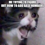 Screaming Cat meme | ME TRYING TO FIGURE OUT HOW TO ADD BASE NUMBERS | image tagged in screaming cat meme | made w/ Imgflip meme maker