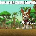 Can't believe it's been 6 years | GREG WOODS AFTER SEEING MOMOMOMO DIE:; OH WELL | image tagged in paw patrol tracker reacting to something | made w/ Imgflip meme maker