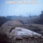 LivingUnderRock2 GIF Template