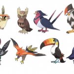 regional birds