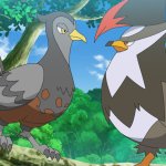 pokemon regional birds