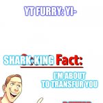 Scout Fact | YT FURRY: *IS TIGGER-SHARK*; SHARK-KING: AM I A JOKE TO YOU? YT FURRY: YI-; SHARK-KING; I'M ABOUT TO TRANSFUR YOU; BETTER RUN FAST | image tagged in scout fact,memes,transfur,anti-furry,shark-king | made w/ Imgflip meme maker