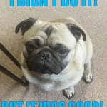 Puggy pug | I DIDN’T DO IT! BUT IT WAS GOOD! | image tagged in puggy pug | made w/ Imgflip meme maker