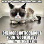 Grumpy cat office | WE'VE HAD SEVERAL COMPLAINTS ABOUT YOU. ONE MORE NOTICE ABOUT YOUR "GOOD DEEDS" AND YOU'RE FIRED! | image tagged in grumpy cat office,grumpy cat,memes | made w/ Imgflip meme maker