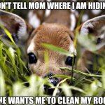 Timid deer | DON'T TELL MOM WHERE I AM HIDING; SHE WANTS ME TO CLEAN MY ROOM | image tagged in timid deer | made w/ Imgflip meme maker