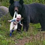 BEAR CARRYING A BABY