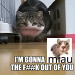 I'm gonna miau the f##k out of you