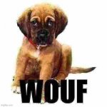 wouf meme