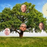 Impeachment Tree