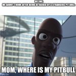 where is my supersuit | NO ONE:

ME ABOUT 1 HOUR AFTER BEING ATTACKED BY A STRANGERS PIT BULL:; MOM, WHERE IS MY PITBULL | image tagged in where is my supersuit | made w/ Imgflip meme maker