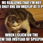 Thinking Cat | ME REALIZING THAT I'M NOT HE ONLY ONE ON IMGFLIP AT 11 PM; WHEN I CLICK ON THE NEW TAB INSTEAD OF SPEEPING | image tagged in thinking cat | made w/ Imgflip meme maker