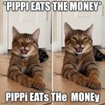 Cat Cracking Up | *PIPPI EATS THE MONEY*; PIPPi EATs THe  MONEy | image tagged in cat cracking up | made w/ Imgflip meme maker