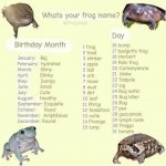 what's ur frog name