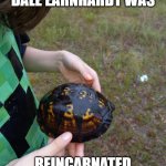 Dale Earnhardt Reincarnated | IMAGINE IF DALE EARNHARDT WAS; REINCARNATED AS A BOX TURTLE | image tagged in dale earnhardt reincarnated | made w/ Imgflip meme maker