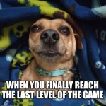 You beat the game | smiling/happy dog | WHEN YOU FINALLY REACH THE LAST LEVEL OF THE GAME | image tagged in happy dog | made w/ Imgflip meme maker