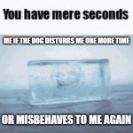 I've had all the stress I'm gonna take from that frickin dog I joke not | ME IF THE DOG DISTURBS ME ONE MORE TIME; OR MISBEHAVES TO ME AGAIN | image tagged in gifs,you have mere seconds,savage memes,enough is enough,pets can be jerks sometimes,no more | made w/ Imgflip video-to-gif maker