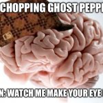 *rubs eye, screaming* | *ME CHOPPING GHOST PEPPERS*; BRAIN: WATCH ME MAKE YOUR EYE ITCH. | image tagged in memes,scumbag brain | made w/ Imgflip meme maker