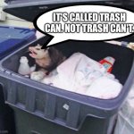 Trash can't | IT'S CALLED TRASH CAN. NOT TRASH CAN'T. | image tagged in trash possum | made w/ Imgflip meme maker