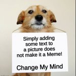 Pictures and text | Simply adding some text to a picture does not make it a Meme! | image tagged in change my mind dog | made w/ Imgflip meme maker