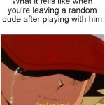 So sad | What it fells like when you're leaving a random dude after playing with him | image tagged in ash says goodbye friend | made w/ Imgflip meme maker