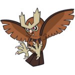 flying noctowl