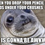 Awkward Moment Sealion | WHEN YOU DROP YOUR PENCIL AND IT LANDS UNDER YOUR CRUSHES  CHAIR. THIS IS GONNA BE AWKWARD | image tagged in memes,awkward moment sealion | made w/ Imgflip meme maker
