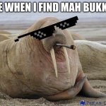 Walrus | ME WHEN I FIND MAH BUKKIT | image tagged in walrus | made w/ Imgflip meme maker