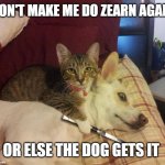 me be like | DON'T MAKE ME DO ZEARN AGAIN; OR ELSE THE DOG GETS IT | image tagged in dog hostage,help,doulingo | made w/ Imgflip meme maker