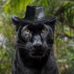 panther with hunt showdown hat