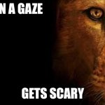 Aslan Quote | WHEN A GAZE; GETS SCARY | image tagged in aslan quote | made w/ Imgflip meme maker