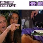 Woman Yelling at tacLive food | HEH HEH; YOU CRAPPED IN MY TOILET AND DIDN’T FLUSH | image tagged in woman yelling at taclive food | made w/ Imgflip meme maker
