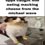 Macking cheese cat