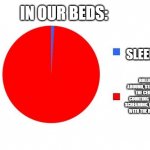 What We Do At Night | IN OUR BEDS:; SLEEPING; ROLLING AROUND, STARING AT THE CEILING, COUNTING SHEEPS, SCREAMING, FIDGETING WITH THE BLANKET, | image tagged in circle graph,sleep,funny,fun,relatable | made w/ Imgflip meme maker