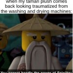 i tamar | when my tamari plush comes back looking traumatized from the washing and drying machines: | image tagged in you cannot handle the power of spinjitzu | made w/ Imgflip meme maker